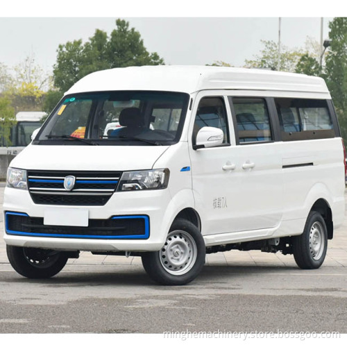 Golden Cup Sea Lion 5door 2Seat Truck Best Quality New Energy EV CAR